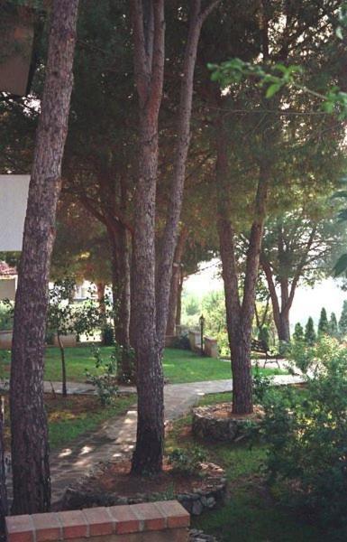 كابو فاتيكانو Villaggio Pineta Petto Bianco المظهر الخارجي الصورة