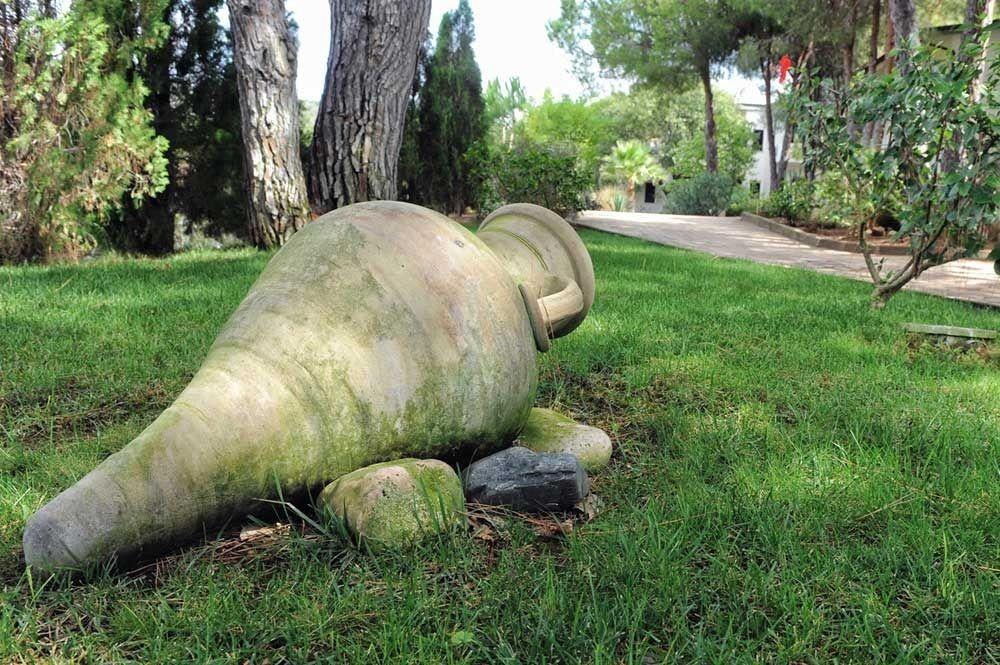 كابو فاتيكانو Villaggio Pineta Petto Bianco المظهر الخارجي الصورة