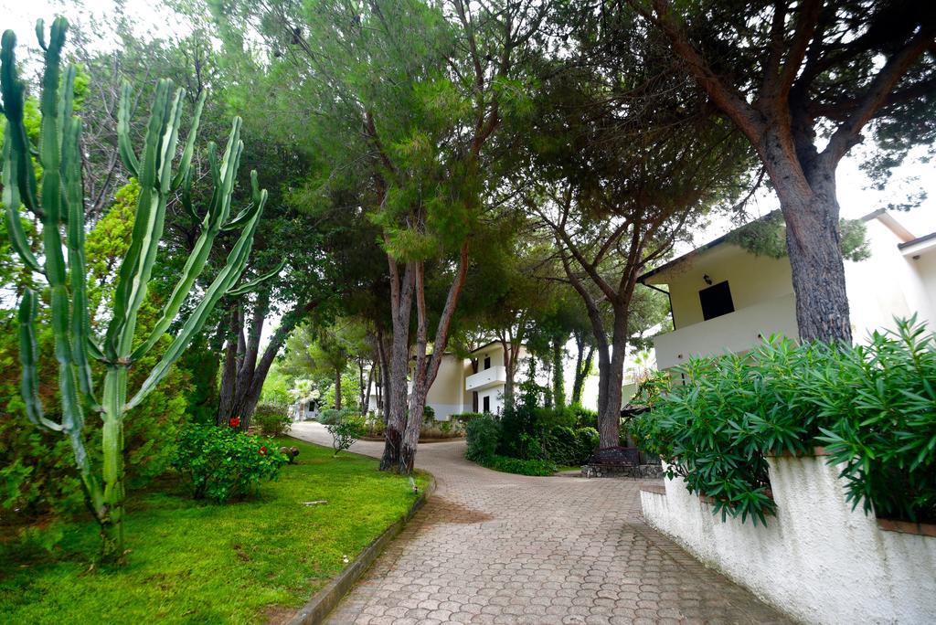 كابو فاتيكانو Villaggio Pineta Petto Bianco المظهر الخارجي الصورة